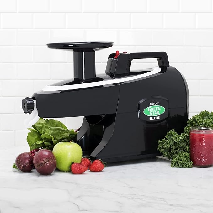 Best Rated Masticating Juicers